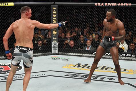 is nate diaz fighting again.